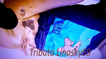 Tributo 28 Linasky69