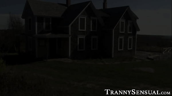 Inked shemale massages stud before sucking and anal