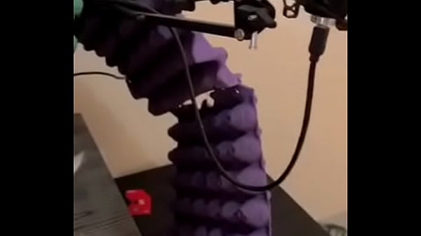 Vídeo de verificação