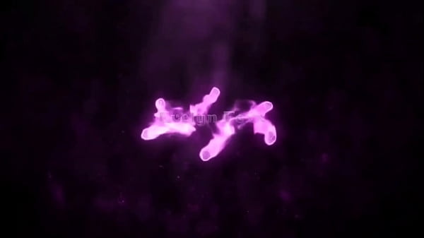 Evelyn Foxx – primeira vez sendo submissa. Sexo insano. Aguentou o pau grosso e enorme do Glaucio Scorpion todo no cu. Vídeo completo no sheer e X Red.