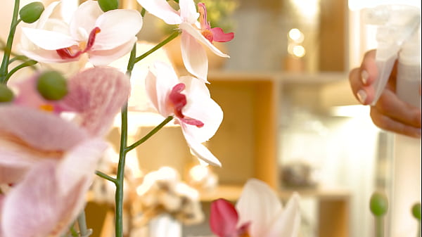 Brunette Beauty Sirena Milano Enjoys Sensual Sex Session With Her Beau GP2831