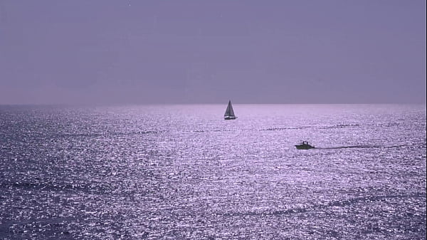 Wild day in Zakynthos