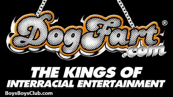 Muscled black gay boys humiliate white twinks hardcore 11