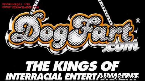 Sexy White Twink Bareback Gay Sex With Muscular Black Guy 19