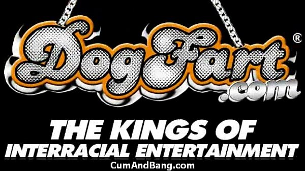 Ebony chick hard fuck in interracial group 2