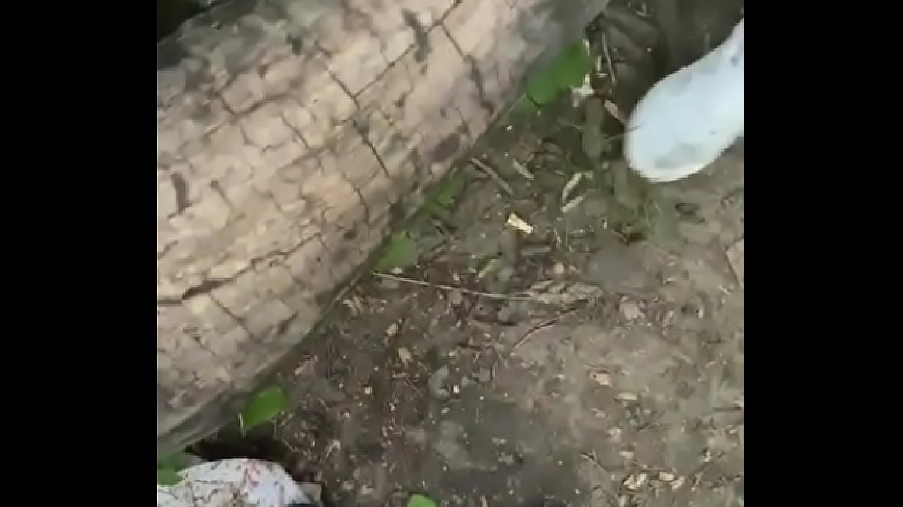 Дрочит В Парке Бесплатно