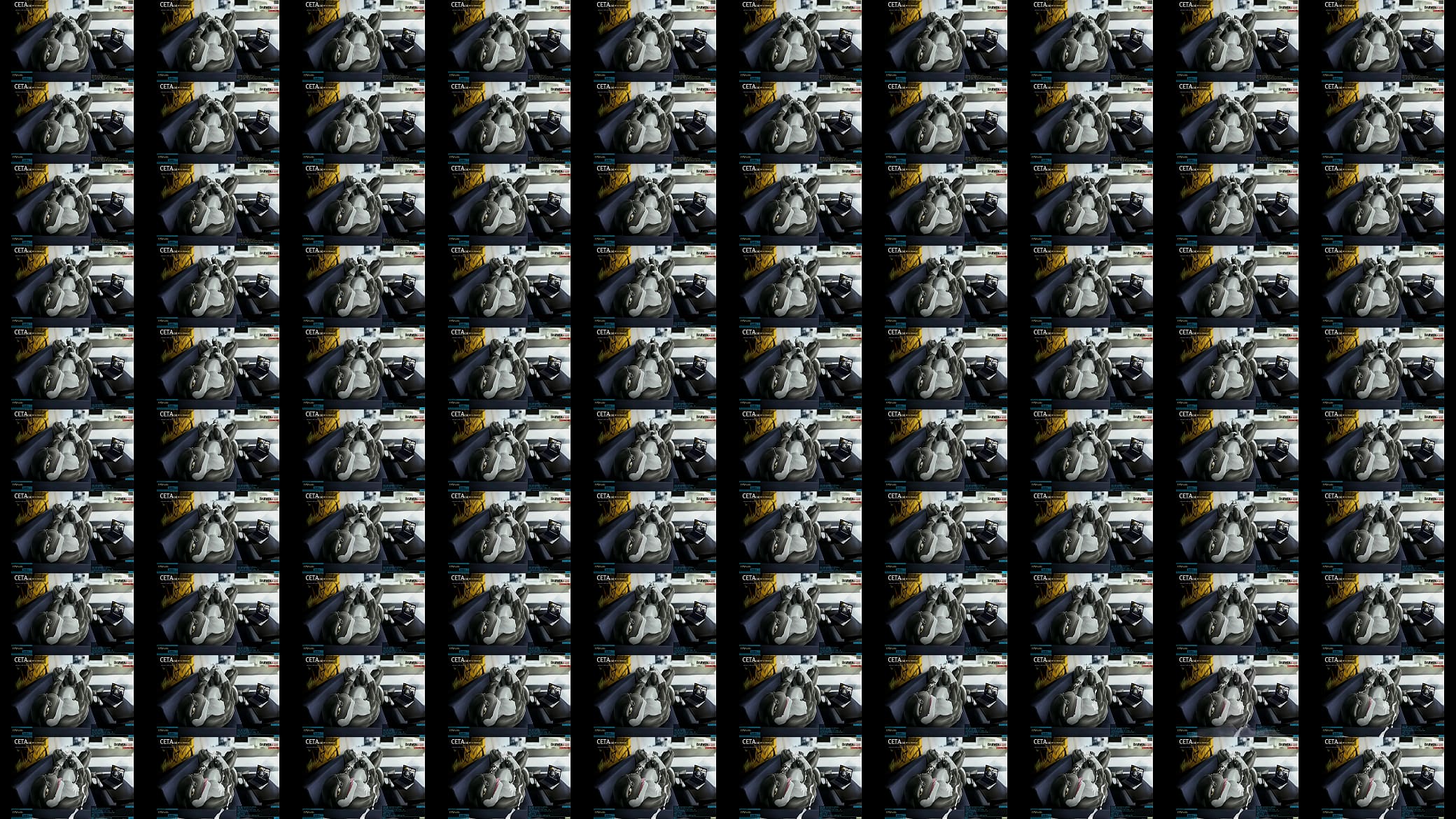 Whale Porr Filmer - Whale Sex Whale Porr Filmer - Whale Sex