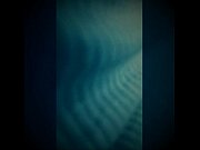 exotic video breaking on a speaker