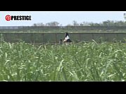 Xxx Ss หนังโป๊ญี่ปุ่น