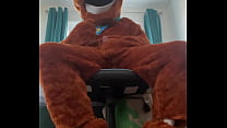 Scooby doo mascot plays with himself