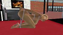 3D Animation Porn Video of a Beautiful big breasted girl Pussy And Anal Hole Play