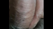 Te gusta