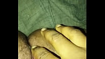 Konji mama Pusy