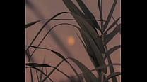 Video xác minh