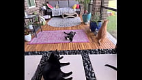 Happy international cat day from my cats to yours