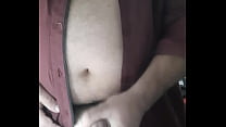 Paja chilena