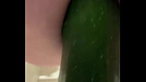 Zucchini