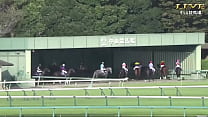 みんなのKEIBA 2025年9月28日 スプリンターズステークス