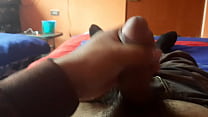 Leysi