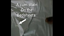 Other bedsheets that I dropped cum on for free