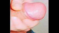 Uncircumcised penis foreskin