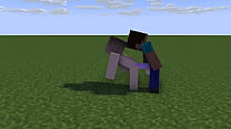 Minecraft Girl gets fucked by steve from behind