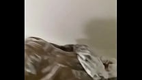 Shower play