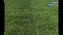 Видео для верификации