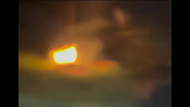 Outdoor BJ Blowjob: A Wild Ride in the Open Air