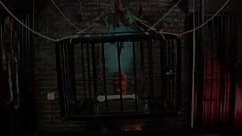 Special Offer at This Strange Sexy Shop: The Owner's Cock for a Hot Threesome