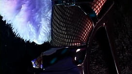 Persian Domination: A Ha...