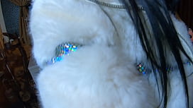 Snow Queen's Fur Co...