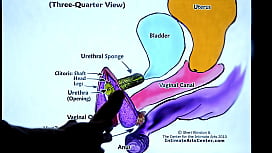 SQUIRTING TUTORIAL #2 - Wie man ein Mädchen zum SQUIRTEN bringt