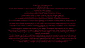 Cam Crest's Hungry Mouth Devours Ditaya's Juicy Pussy (Free)