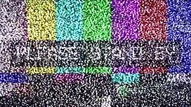 Dr. Tampa's Relaxed...