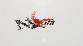 Marcelli Mendes Swallows...