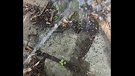 Tiatinkles' Tinkles...