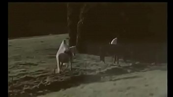 Limmoralita 1978 2025 | XXXXVideo