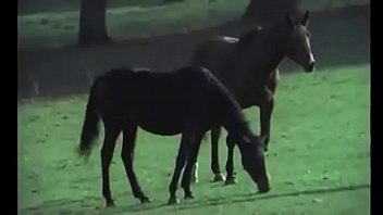 Limmoralita 1978 2025 | XXXXVideo