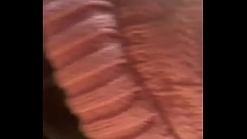 Eat that dick