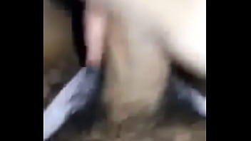 Dani En Tanga Saca Lechita...