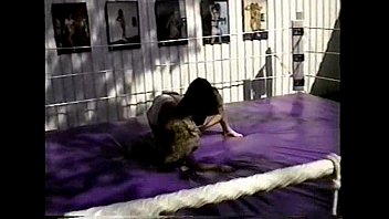 brittany vs sandy