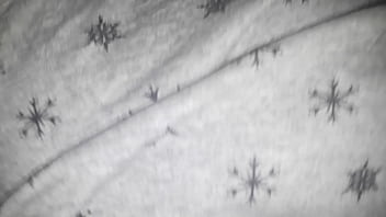 Saftige Muschi-Träume