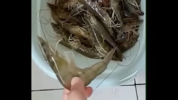 asiasex.cc鄂州父女毀三觀超離譜家庭法律女兒 - BoulX.com