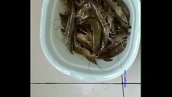 asiasex.cc鄂州父女毀三觀超離譜家庭法律女兒 - BoulX.com