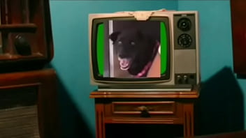 Adolf Bush's - Piña