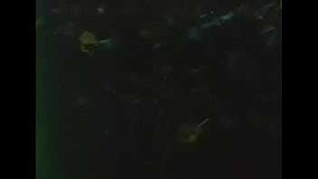 Piccole Labbra 1978 2025