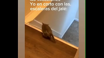 Ví_deo de verificació_n