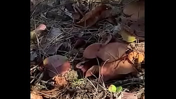 Limpopo outdoor photoshoot gone wild