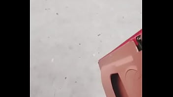 国产稀缺小马拉大车 2024